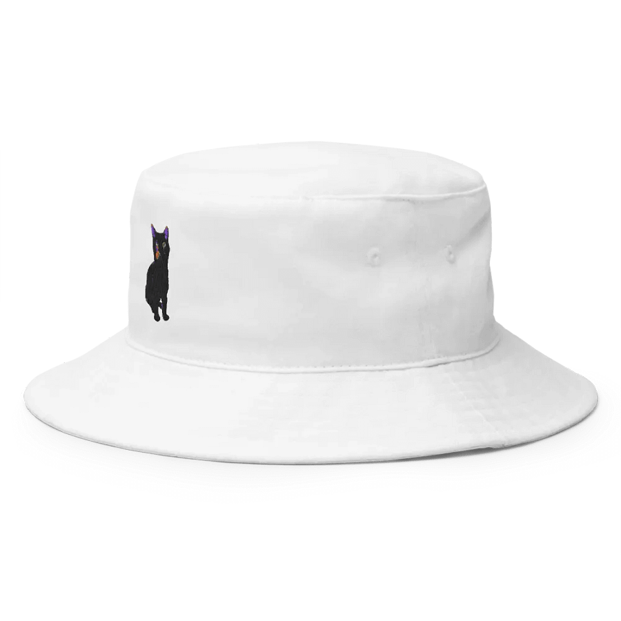 Raven flat hat product image (2)