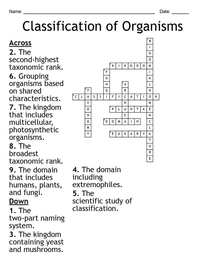Classification of Organisms Crossword Puzzle product image (2)