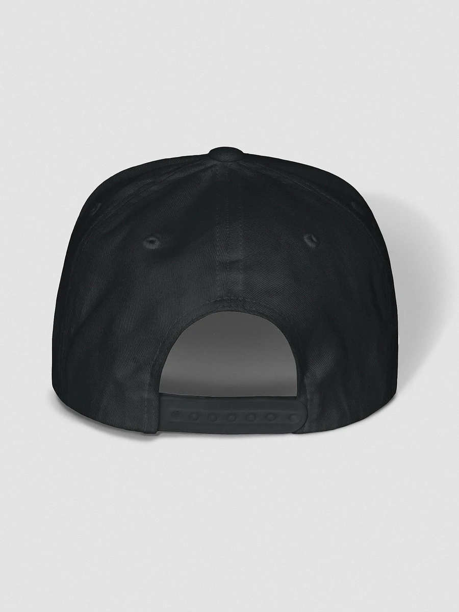Shadow Wing Cap Gray on Black (Flat bill) product image (4)