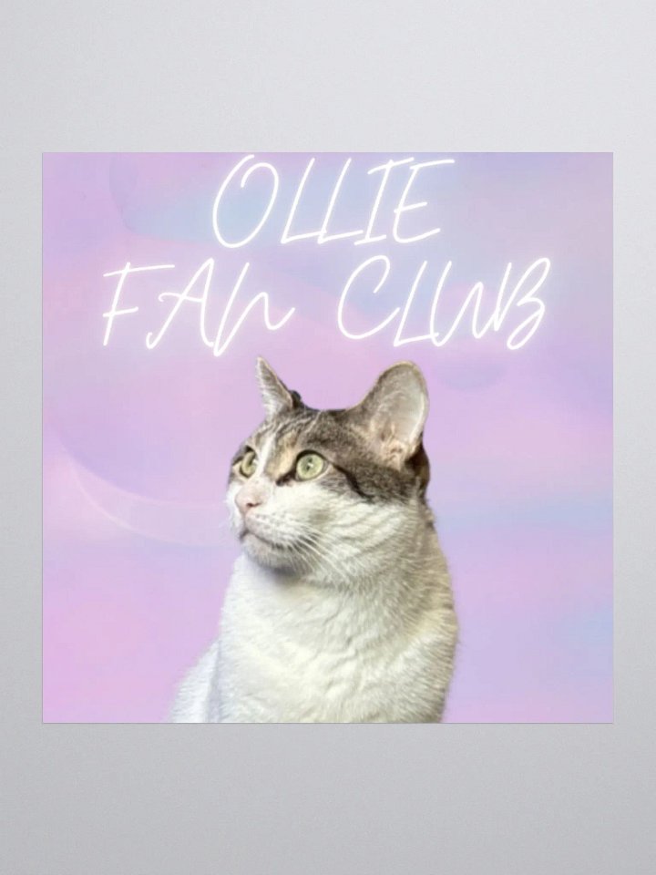 "OLLIE FAN CLUB" Sticker product image (2)