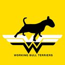 Working Bull Terriers Kennel