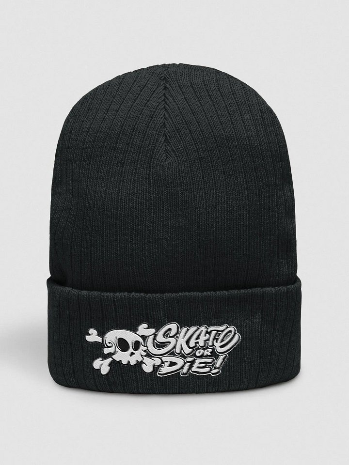 Skate Or Die! Beanie product image (1)
