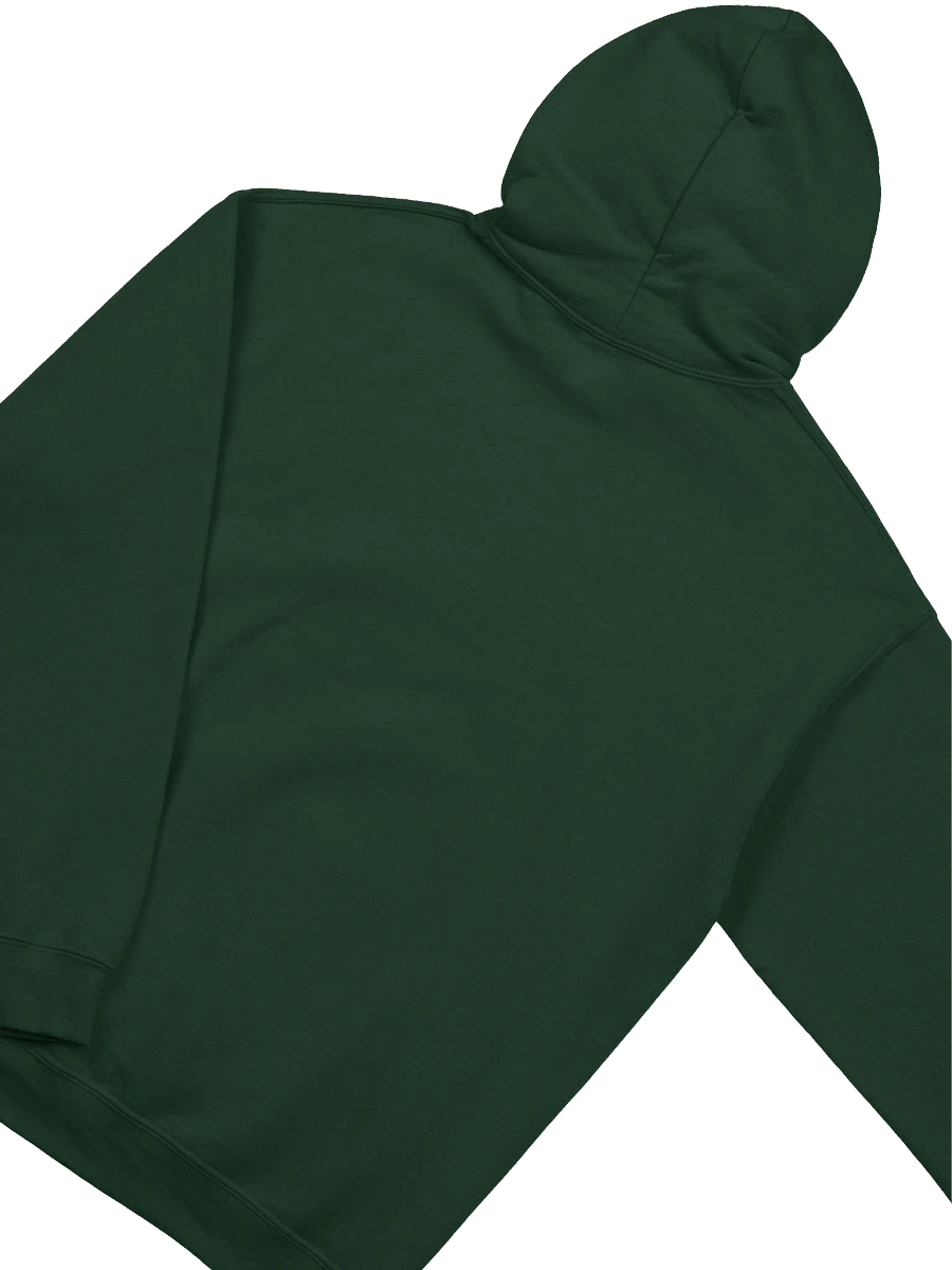 On My Way To Get A Lobotomy Frog On A Snail Hoodie product image (5)