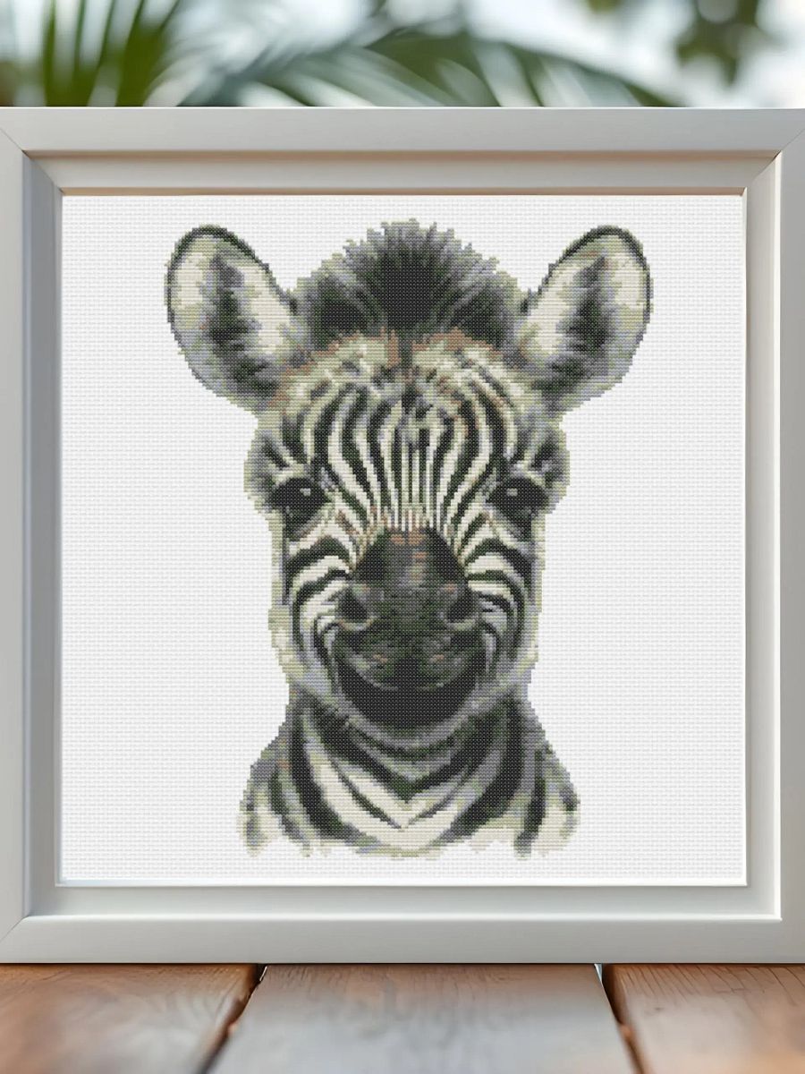 Baby Zebra product image (7)