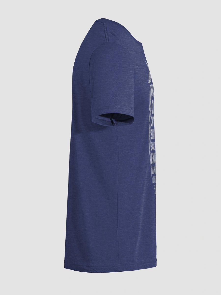 Strawberry Seeds Tri-Blend Tee product image (44)