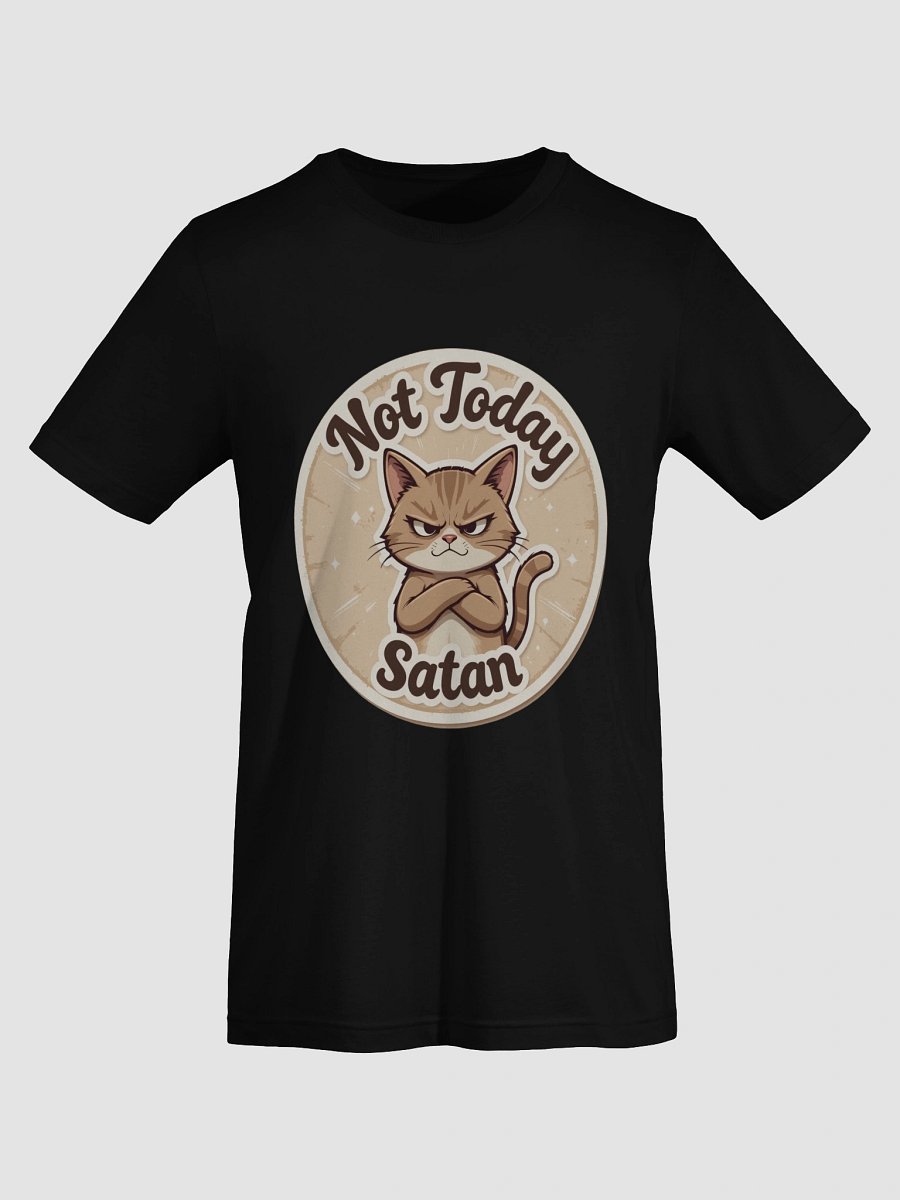 Grumpy Cat 'Not Today Satan' T-Shirt product image (74)