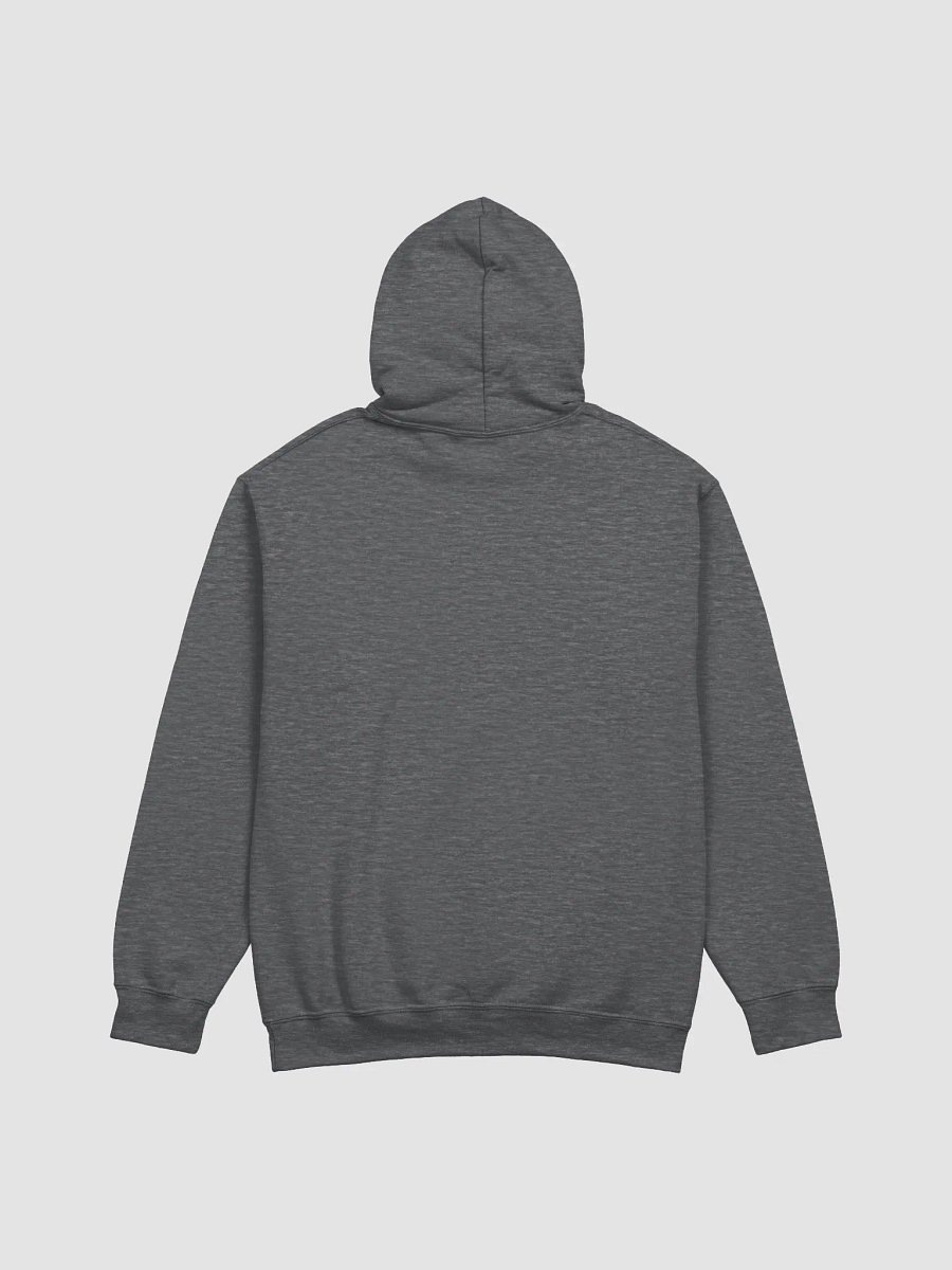 Charcoal MGT Small Logo Hoodie product image (2)