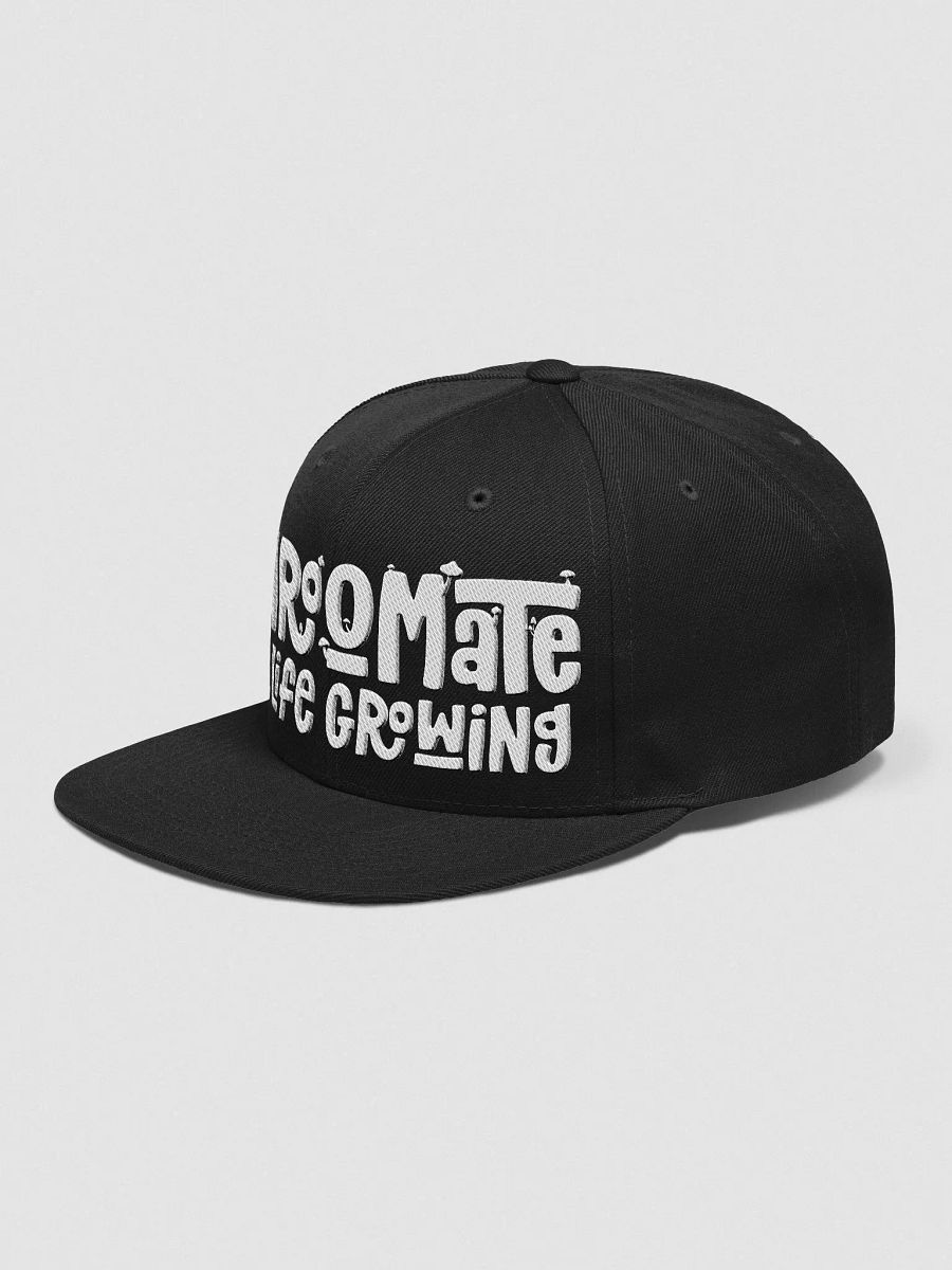 Snapback Classic Brand Cap product image (30)