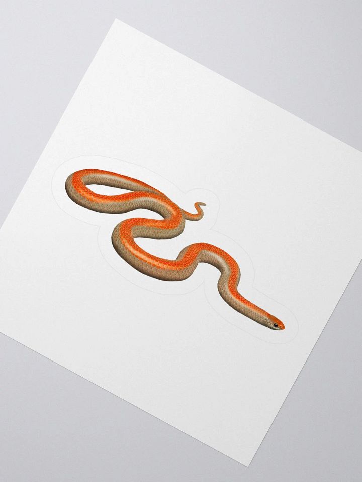 Die-Cut Sticker – Western Groundsnake (Striped) product image (2)