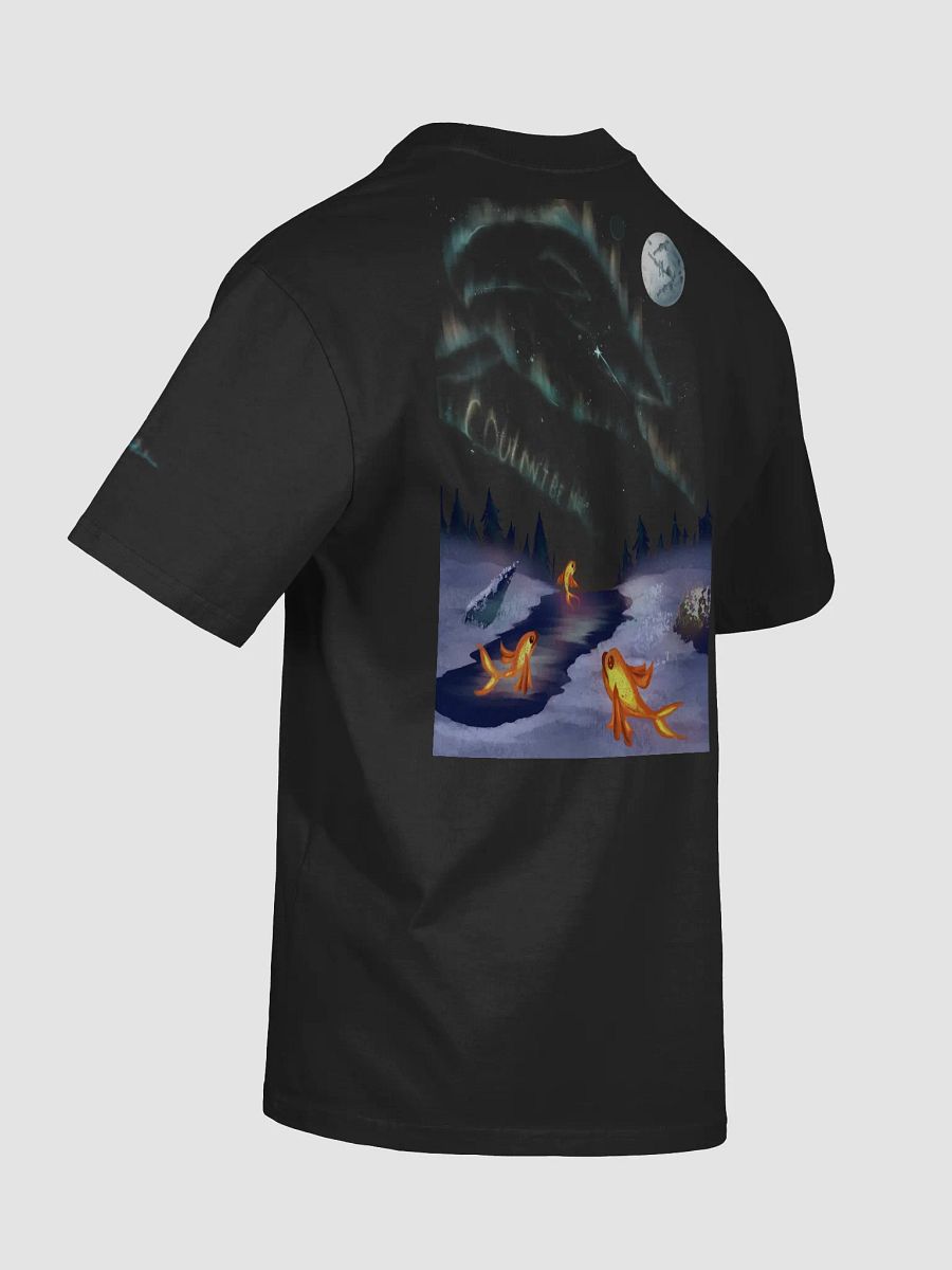 CBMOON "Aurora" OVERSIZED t-shirt product image (8)