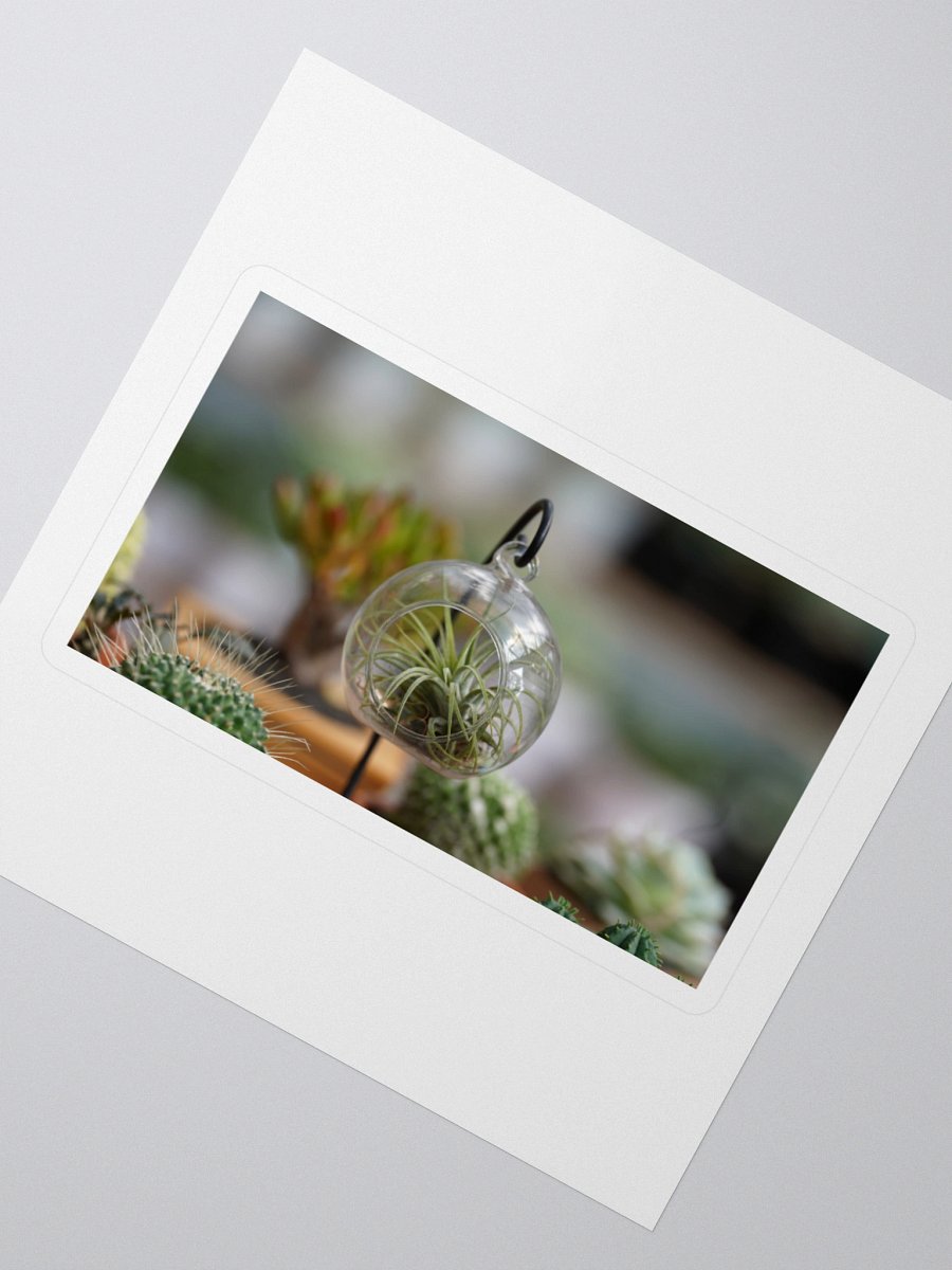 Suspended Air Plant Terrarium Sticker Set product image (2)