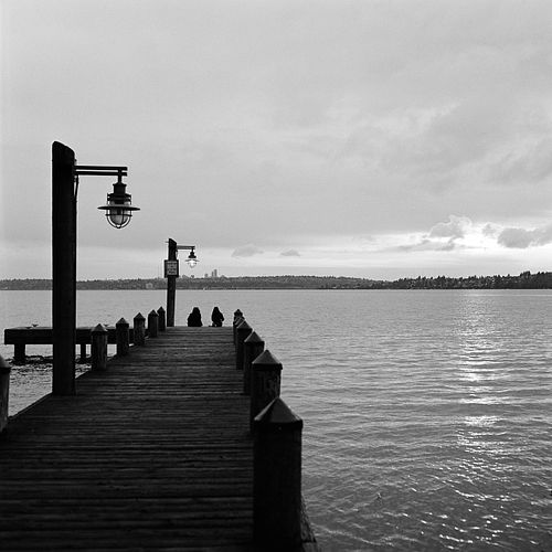 400tx

#120film #mediumformatfilm #kodaktrix400