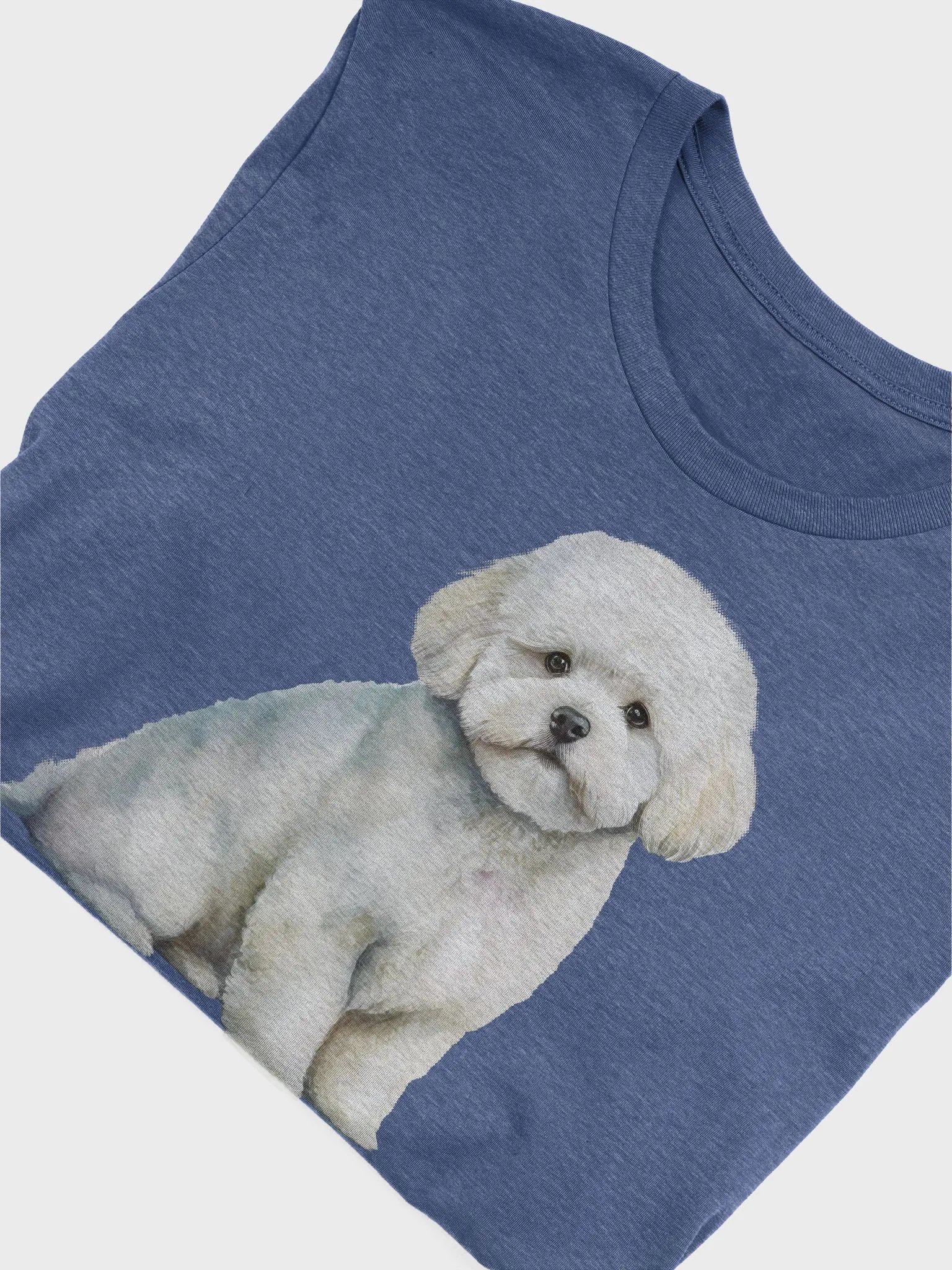 Bichon Frisé product image (3)