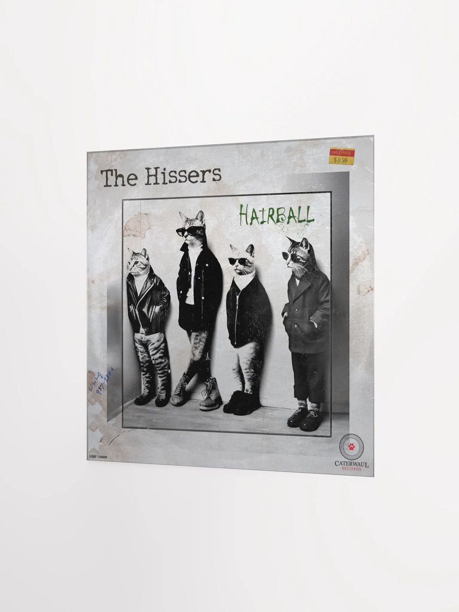 The Hissers poster - Album jacket (front) - 12