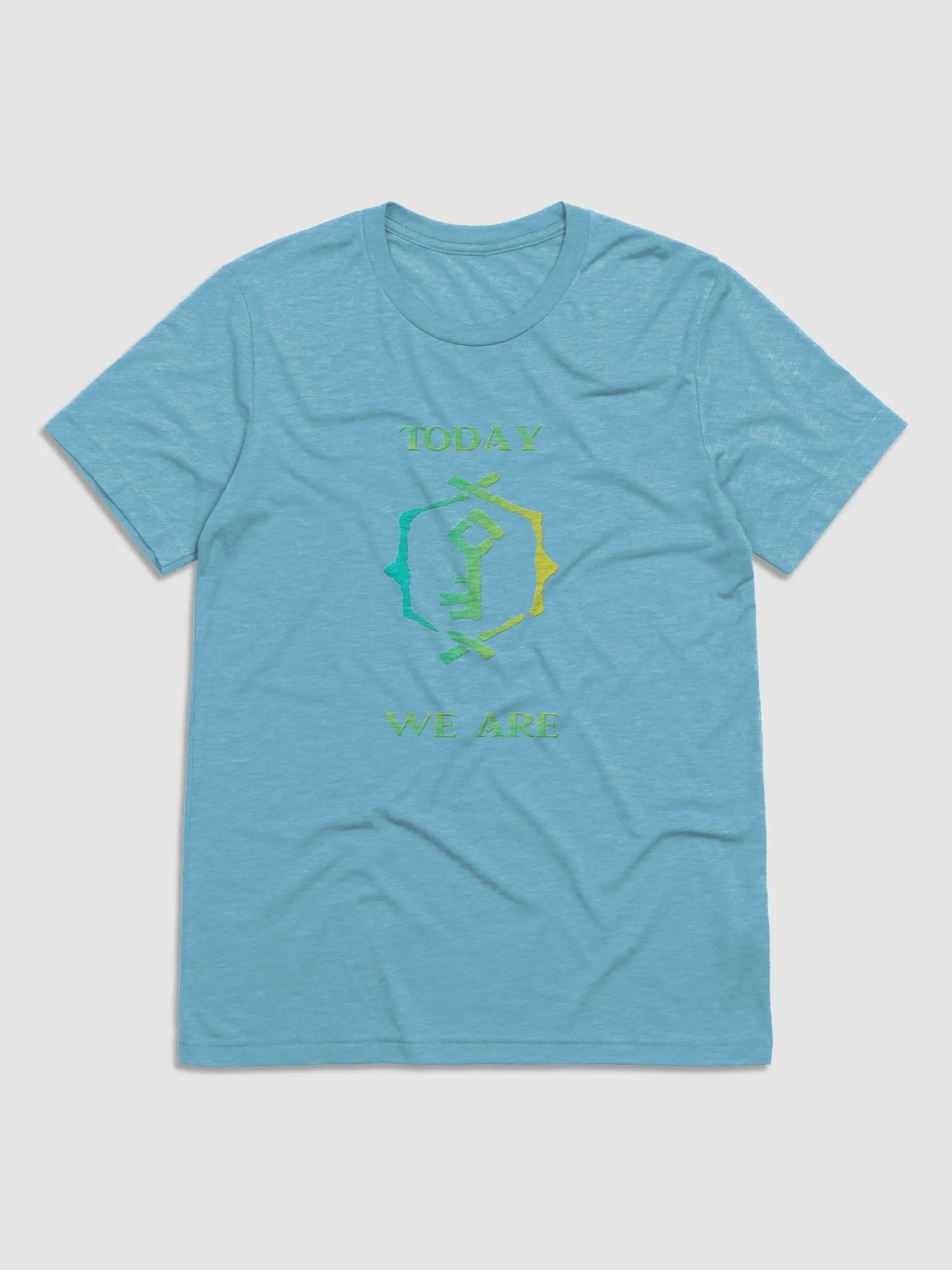 We all know the truth, Hoarder tshirt - Unisex product image (1)