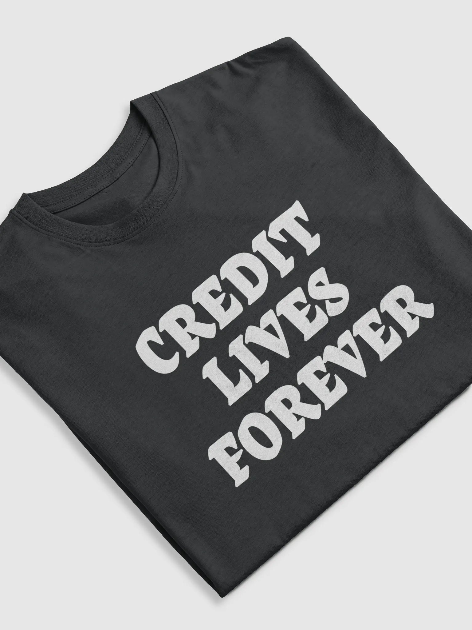 Credit Lives Forever Tee product image (5)