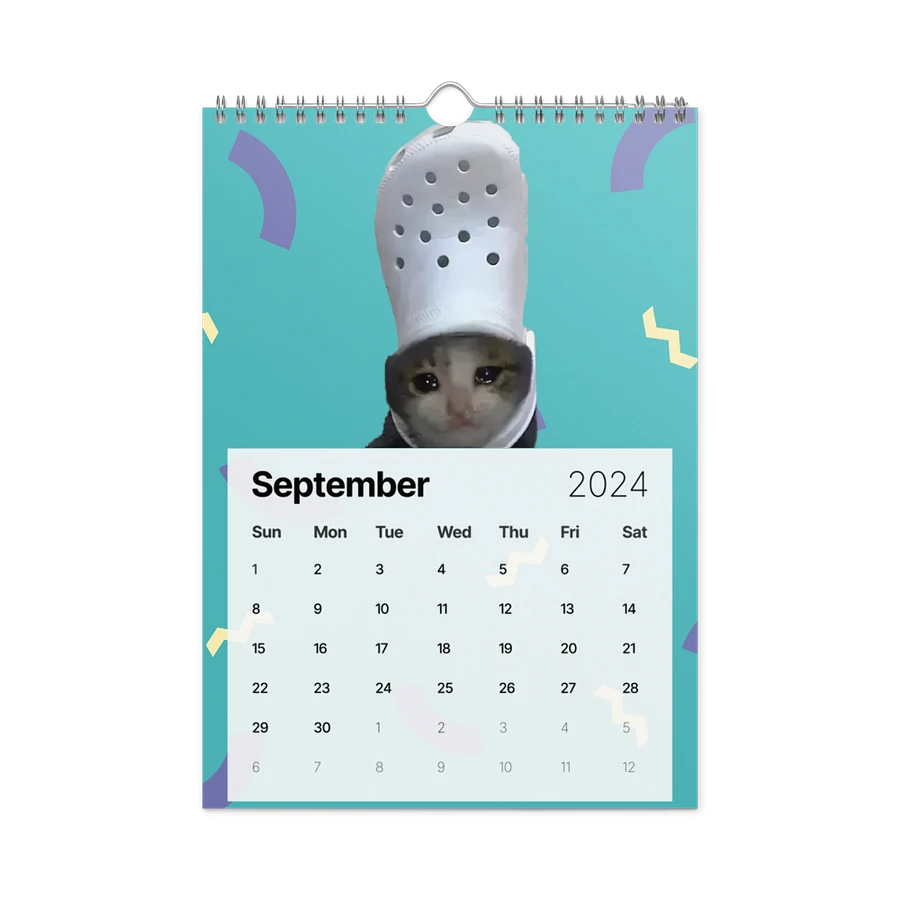 Wall Calendar (2024): Meme Cats product image (18)