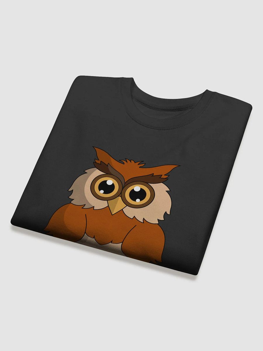 Men Sweatshirt - Night Owl product image (4)