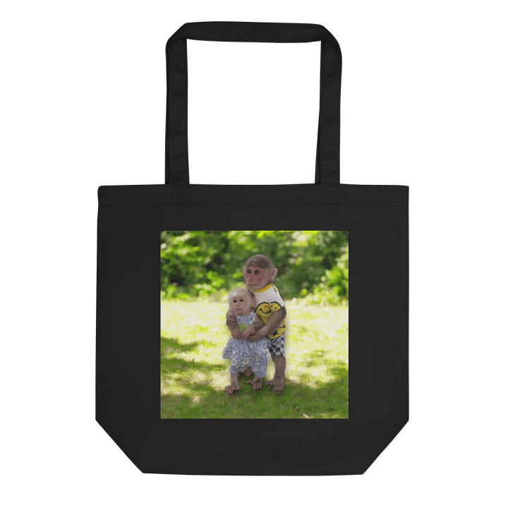 Cute handbag with SinSin ZiZi couple image product image (2)