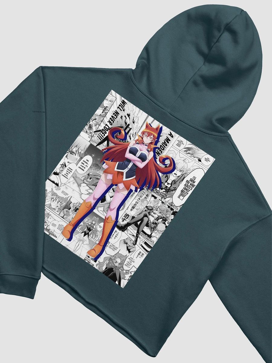Ameri Dream Fleece Crop Hoodie product image (4)