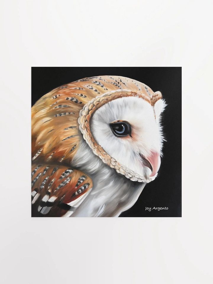 Barn Owl Print product image (1)