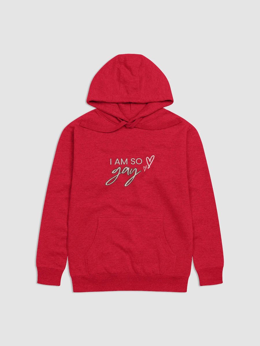 I am so gay hoodie product image (1)