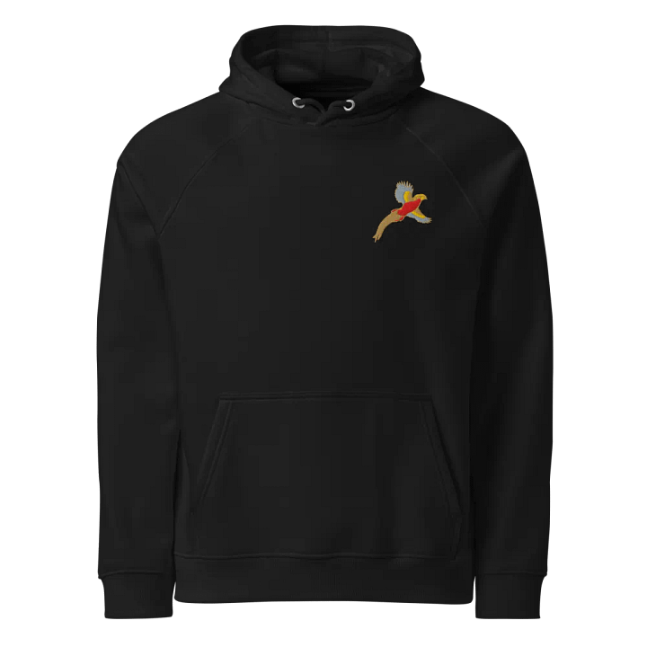 Hoodie with logo. product image (1)