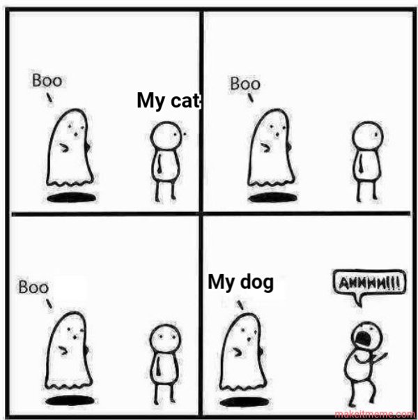 mystery meme product image (10)