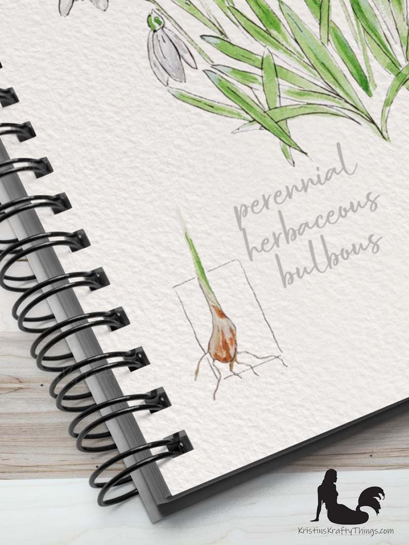 Snowdrop Flower Field Notes Style Notebook product image (2)
