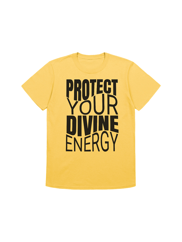 Protect Your Divine Energy product image (1)