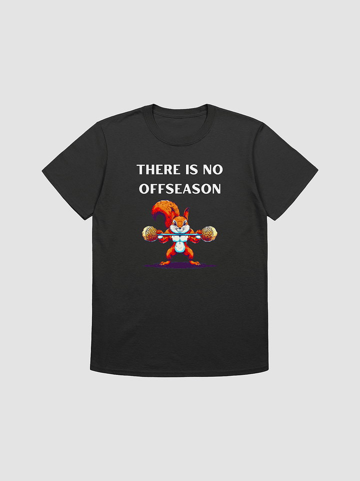 T24003 There Is No Offseason product image (1)