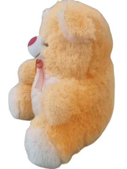 TEDDY BEAR product image (2)