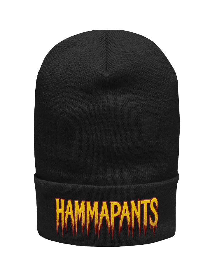 Hamma Slash Pants Embroidered Beanie product image (4)