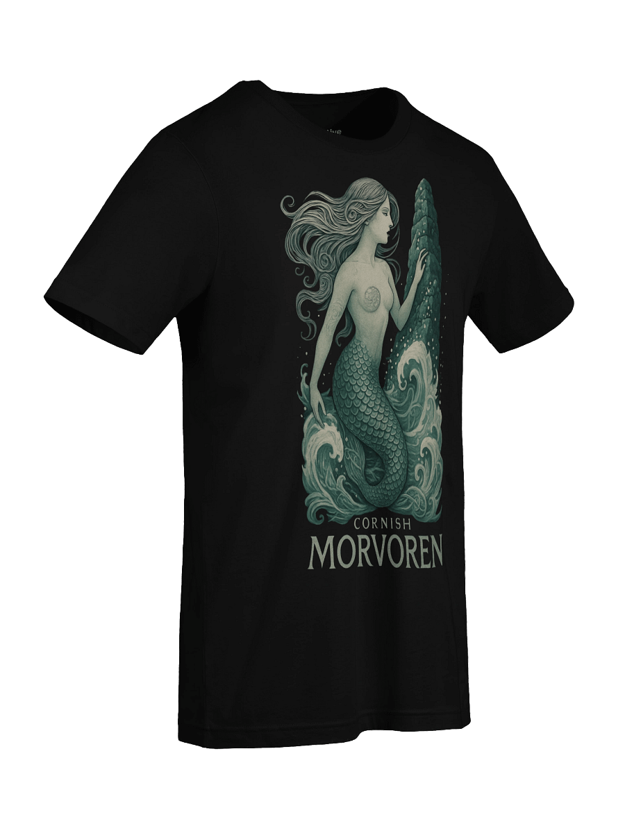 Cornish Morvoren Art Tee product image (8)