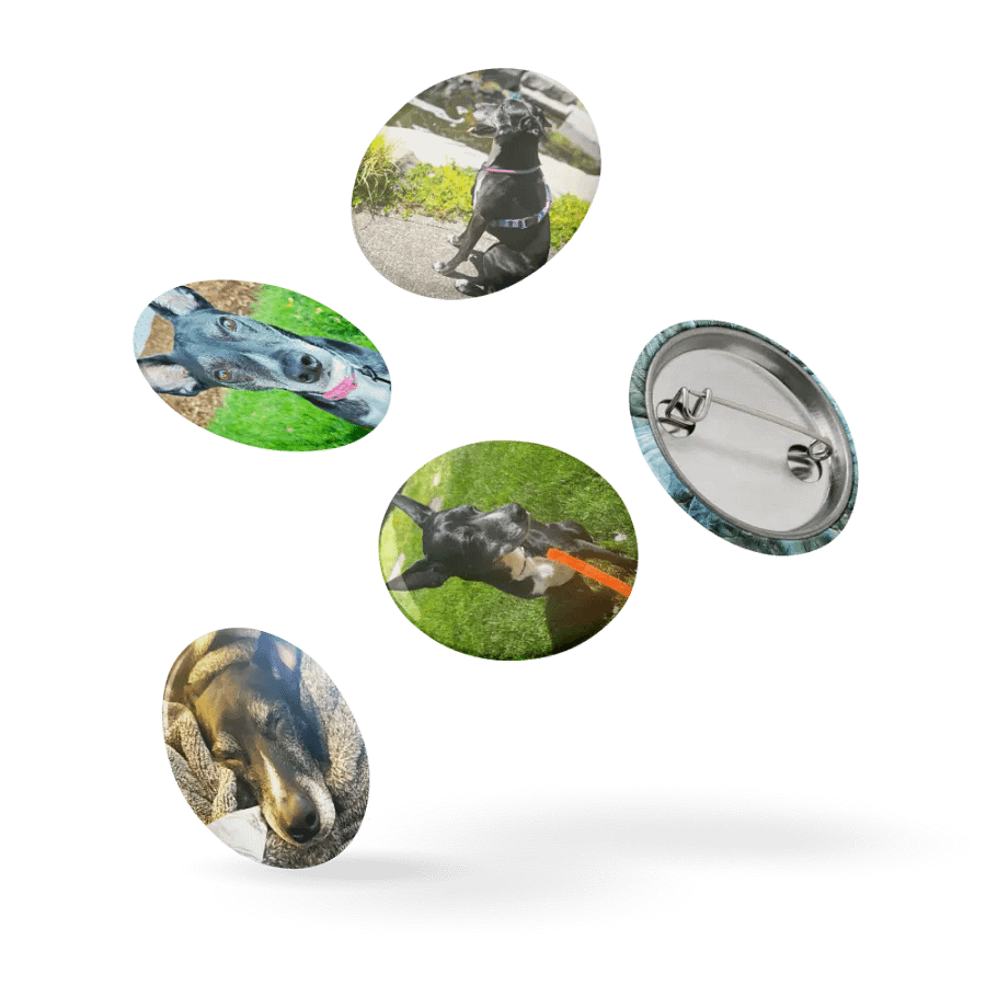 The Belle Badge Collection product image (14)