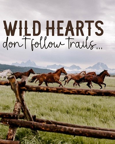 Some souls aren’t meant to walk the beaten path, they’re carved by dust, storms, and wide-open skies.✨

Wild hearts don’t fol...