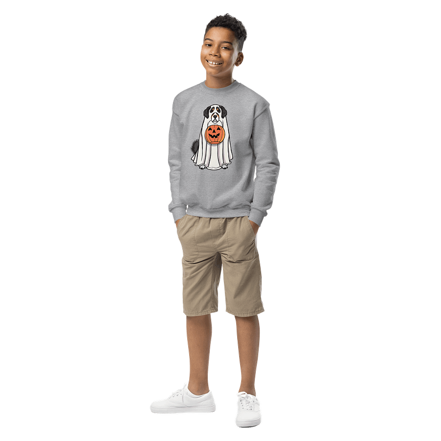 Halloween Bernese Mountain Dog(Berner) Youth Sweatshirt product image (6)