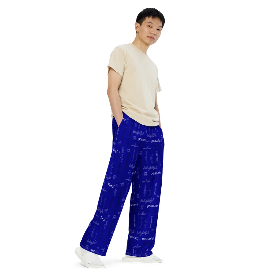 delightful reflection pants product image (8)