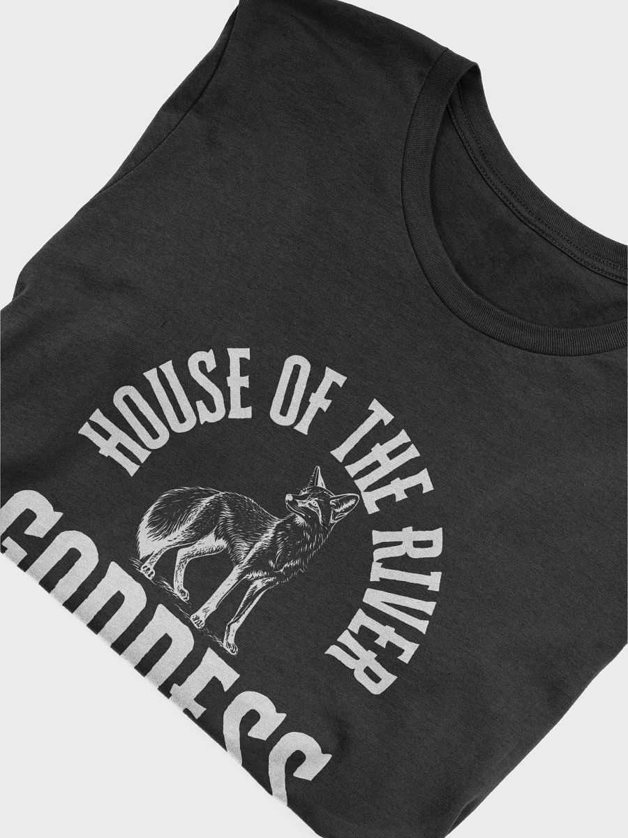 The Goddess Binding HotRG Tee - Black product image (5)