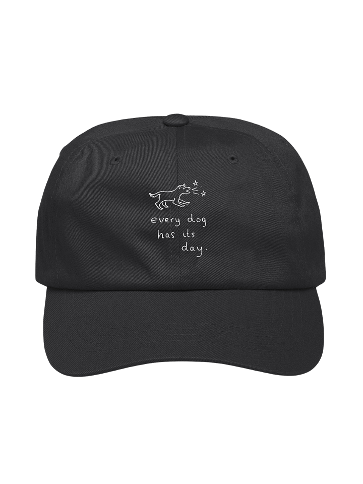 Exclusive Embroidery Cap product image (1)