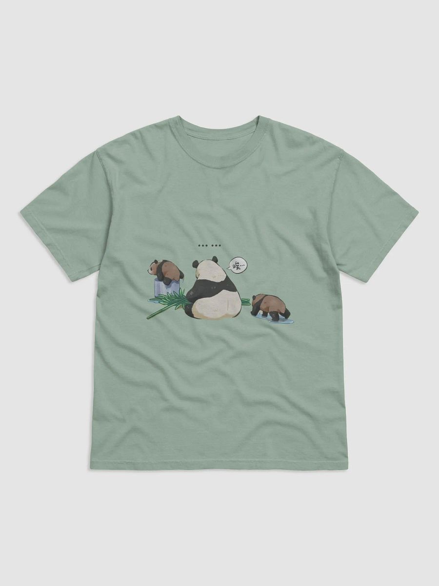 RUIBAO HUIBAO🐼Giant Panda product image (2)