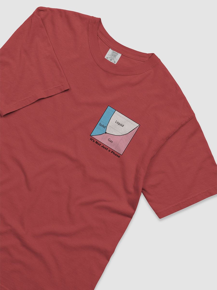 It's Not Just a Phase- Trans T Shirt product image (11)