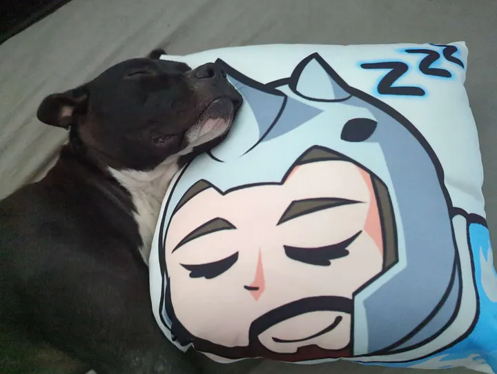 Sleepyzzz Rhino Pillow product image (1)