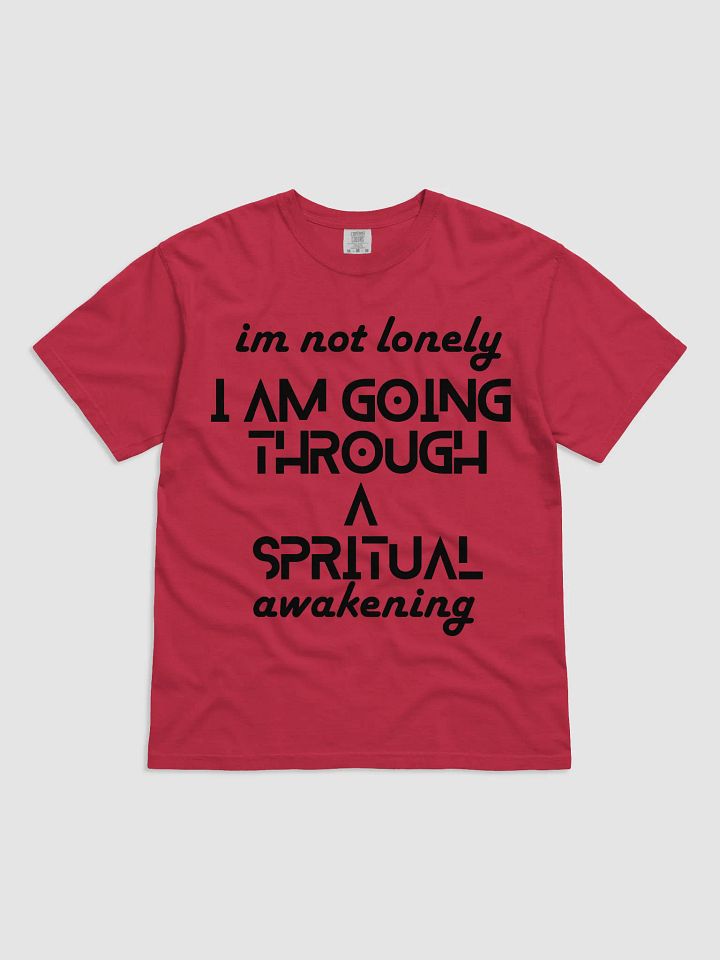 I'm Not Lonely I Am Going Through a Spiritual Awakening Tee – Spiritual Journey Shirt, Healing Vibes T-Shirt, Mindfulness Gift, Unisex Shirt for Men & Women, Holiday Present product image (2)