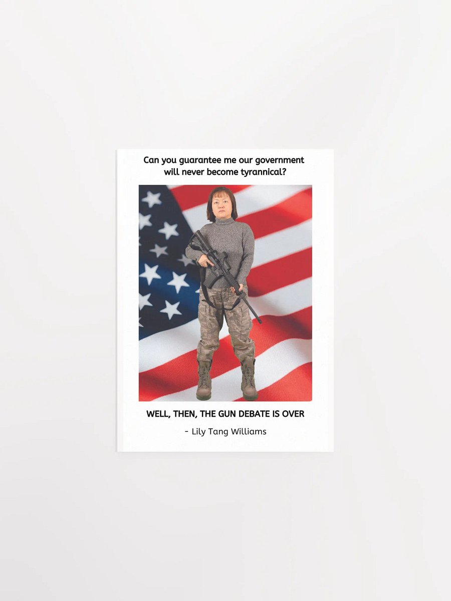 Lily's AR-15 product image (1)