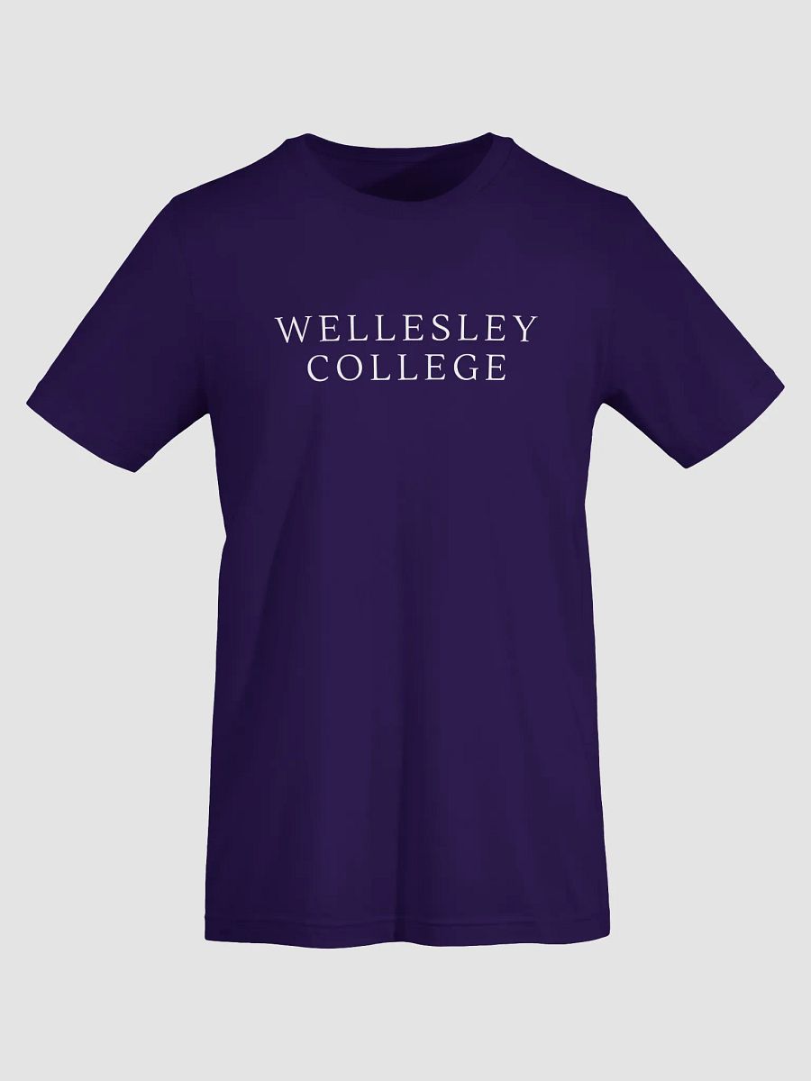 Minimalist Serif Reunion Tee product image (75)