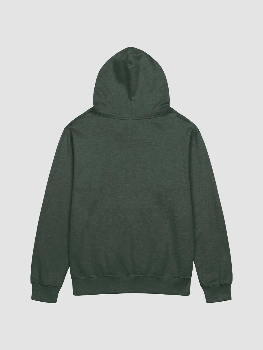 B&C Bears Hoodie product image (2)