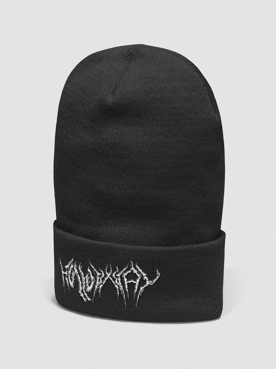 HOLLOWxWAY Cuffed Beanie product image (3)