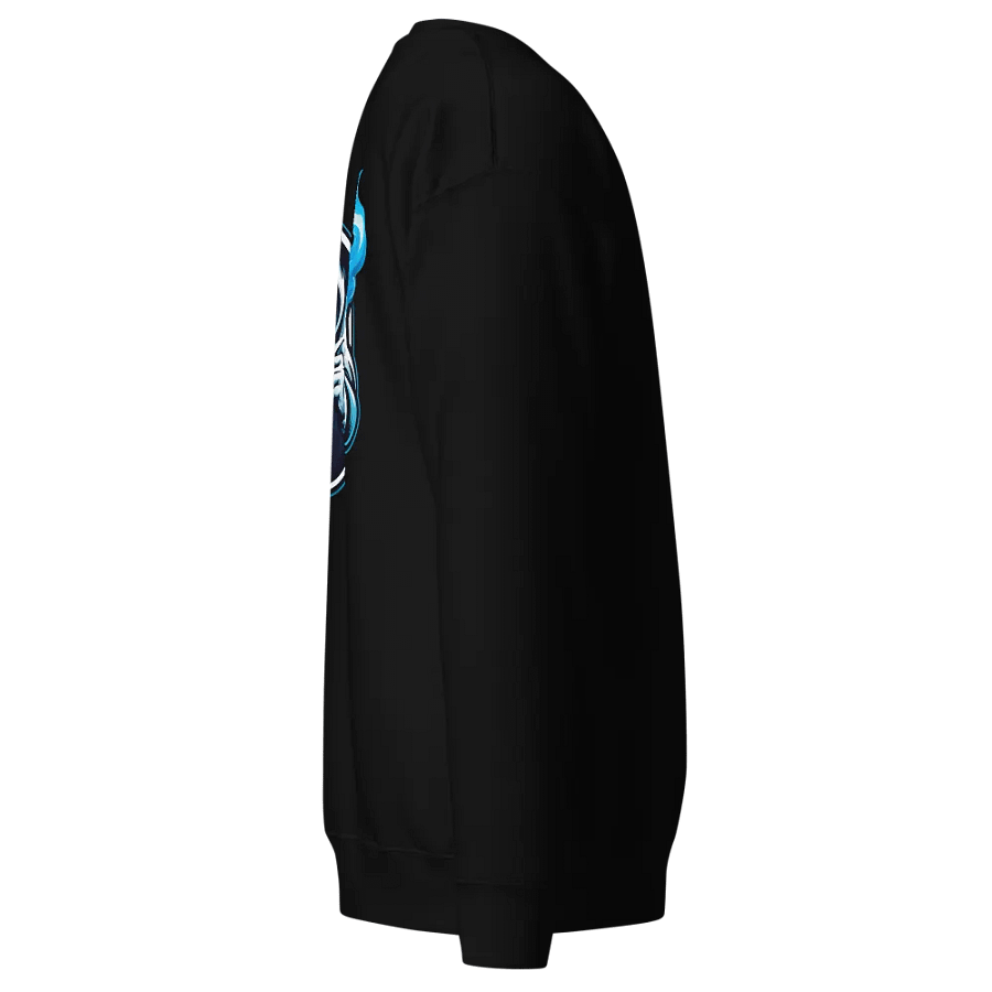 GD Premium Embroidered Crew neck Sweatshirt product image (18)