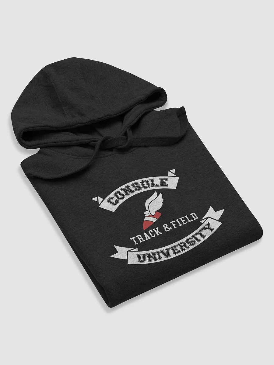 The Console University Hoodie product image (6)